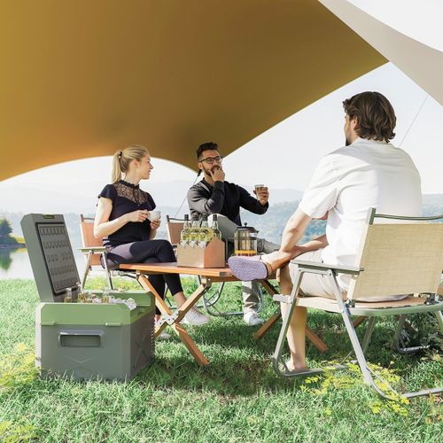 Glacière Électrique 16,3 l Portable Avec Compresseur Et Double Alimentation 12/220 v