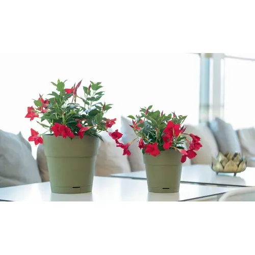 Pot De Fleur Ethica - 2 L - 40 X H39 Cm - Avec Réserve D'eau - Blanc