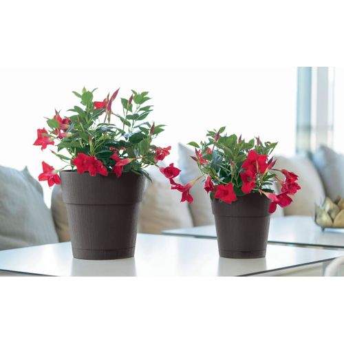 Pot De Fleur Ethica - 2 L - 40 X H39 Cm - Avec Réserve D'eau - Blanc