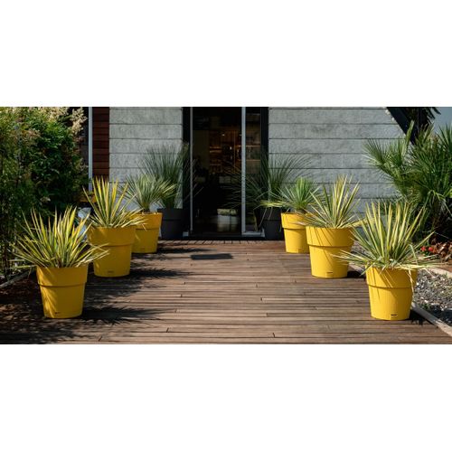 Pot Rond Ethica 40 X 39 Cm - 2 L, Finition Bois Mat, Réserve D'eau