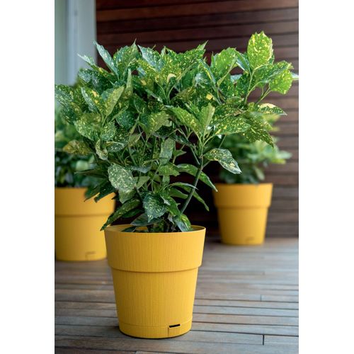 Pot Rond Ethica 40 X 39 Cm - 2 L, Finition Bois Mat, Réserve D'eau