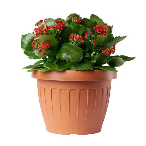Pot De Fleurs "terra" En Plastique - Terracotta - D 20 X H 15,5 Cm