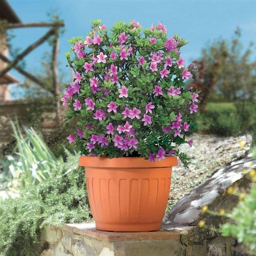 Pot De Fleurs "terra" En Plastique - Terracotta - D 20 X H 15,5 Cm