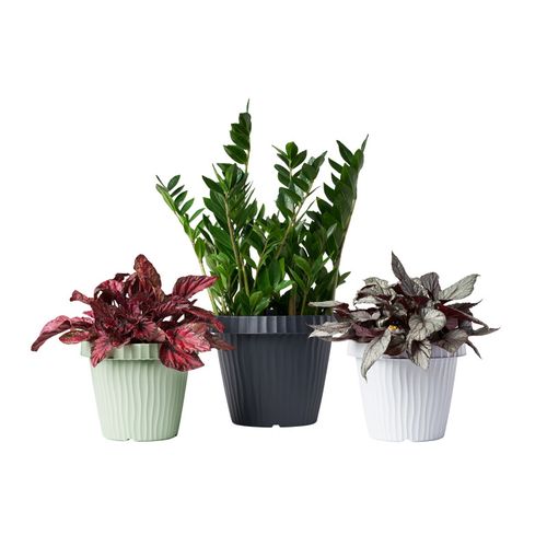 Pot De Fleurs "onda" En Plastique - Blanc - 16l