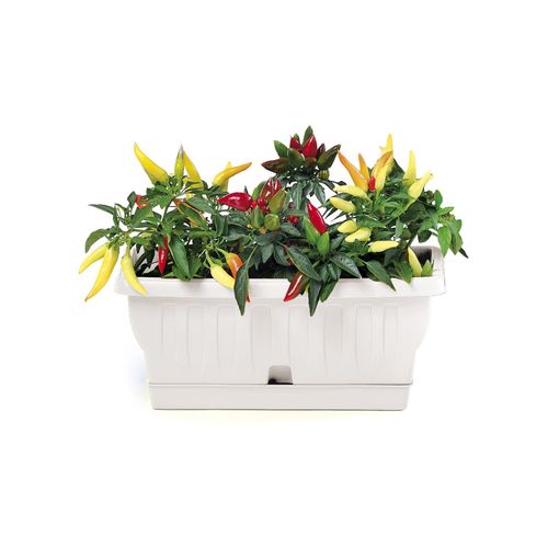 Jardinière Avec Soucoupe "natura" - Blanc - 3,5l