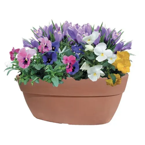 Jardinière - Ellittica - 80 X 46,5 X H 35 Cm - Marron