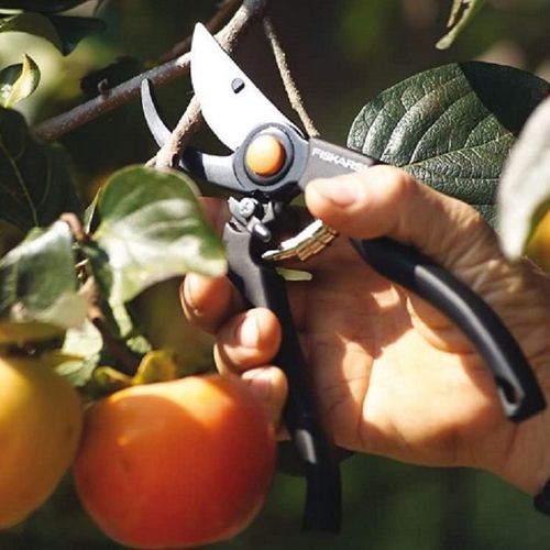 Sécateur Traditionnel Fiskars P90