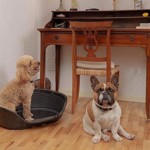 Siesta Deluxe - Lit Plastique Intérieur Anti-dérapant Taille 6 Noir 70,5×52×23,5 Cm