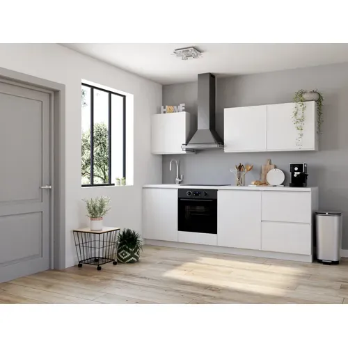 Poubelle 50L CHIC inox