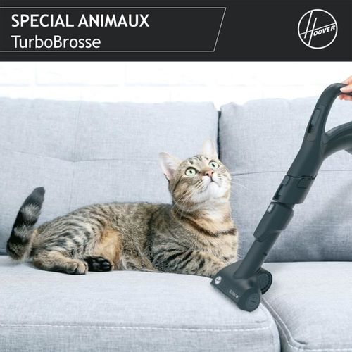 Aspirateur Traineau Sans Sac - Hp720pet - 850 W - 68 dBa - Cassette 2 L - Spécial Parquet Et Animaux