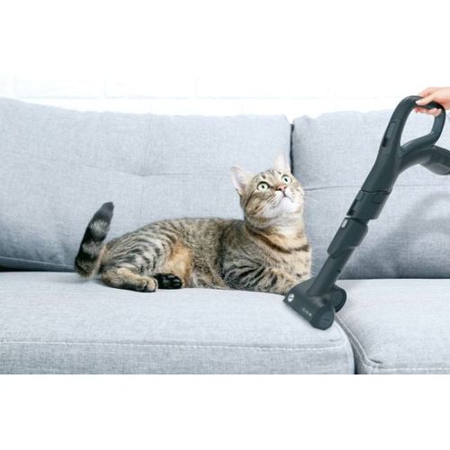 Aspirateur Traineau Sans Sac - Hp720pet - 850 W - 68 dBa - Cassette 2 L - Spécial Parquet Et Animaux