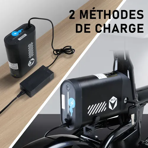 Vélo Électrique Pliable 16" E-bike Moteur 250w Avec Batterie Amovible 36v6ah, Autonomie Max 25-60km