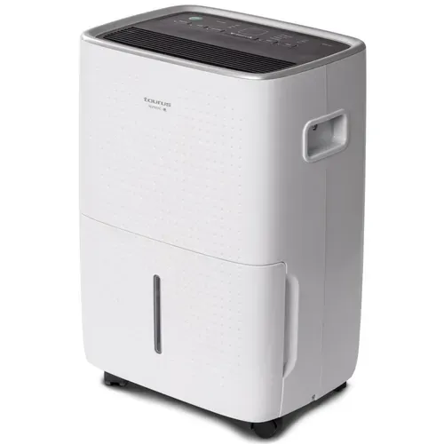 Déshumidificateur d'air - Dh300