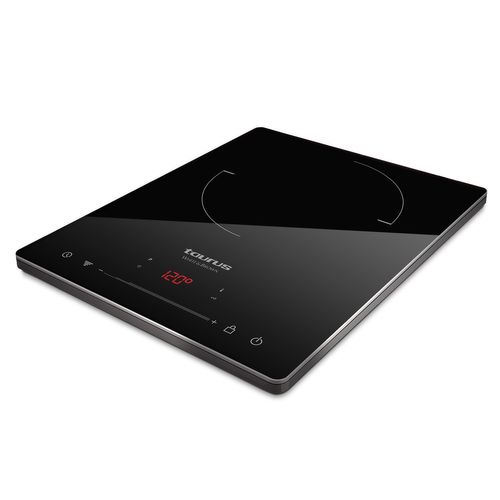 Table De Cuisson à Induction Posable 2000w Darkfire