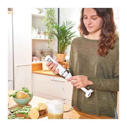 Mixeur Plongeant 500w Blanc Bxhb500e