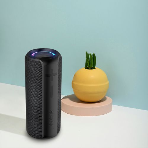 Enceinte connectée Echo Box - Bluetooth 5.2 - Connexion sans fil - 30 W
