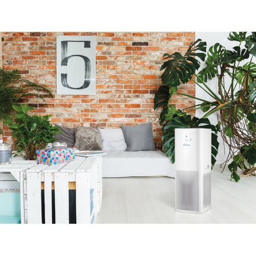 Les Meilleurs Systèmes D'éclairage Intelligents Pour Les Maisons