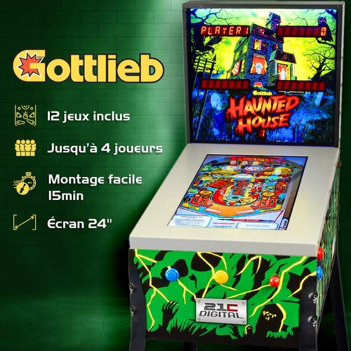 Flipper Numérique Lcd 24" Sur Pied - 12 Jeux Inclus - 4 Joueurs - Type Borne D'arcade