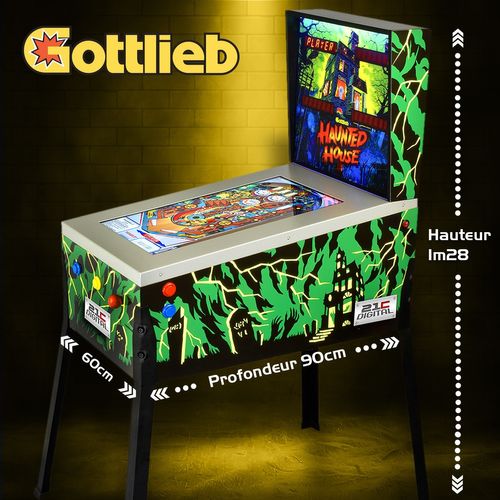 Flipper Numérique Lcd 24" Sur Pied - 12 Jeux Inclus - 4 Joueurs - Type Borne D'arcade