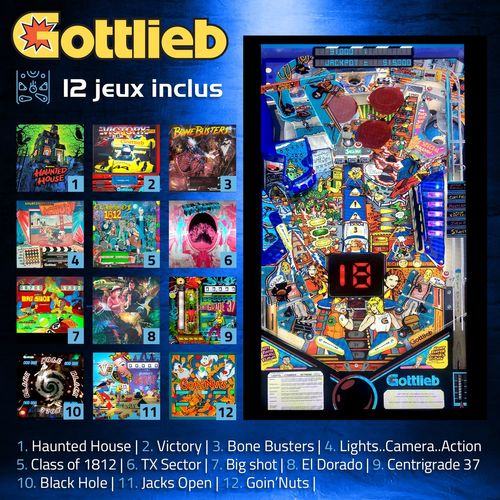 Flipper Numérique Lcd 24" Sur Pied - 12 Jeux Inclus - 4 Joueurs - Type Borne D'arcade