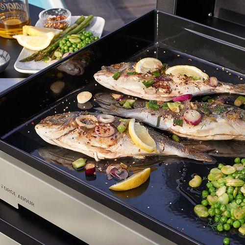 Plancha électrique 3200w Plaque Fonte émaillée 60x42cm Premium E 60 I