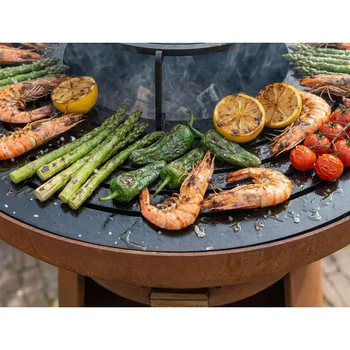 Barbecue Braséro Rond Avec Plaque D'acier Ronde Et Grille