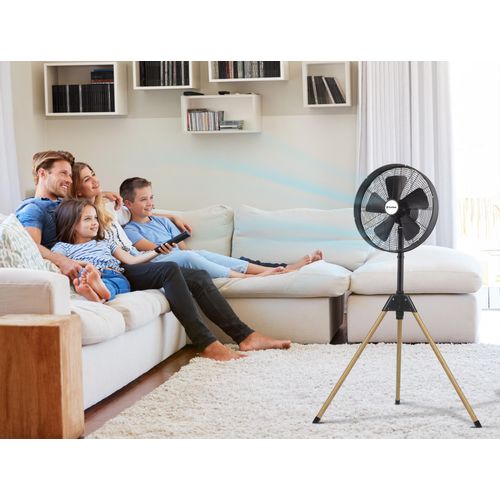 Ventilateur Sur Trépied Vintage Exclusif