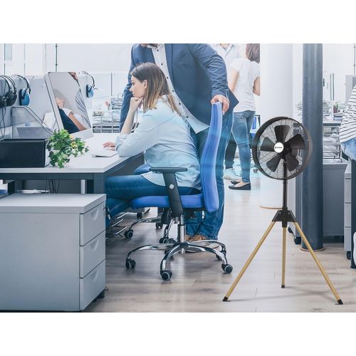 Ventilateur Sur Trépied Vintage Exclusif