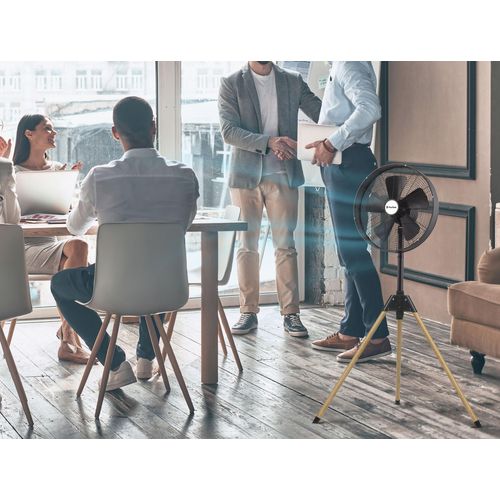 Ventilateur Sur Trépied Vintage Exclusif