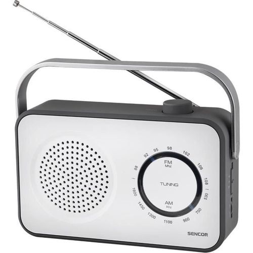 Récepteur Radio Fm / Am Portable - Srd 2100 W