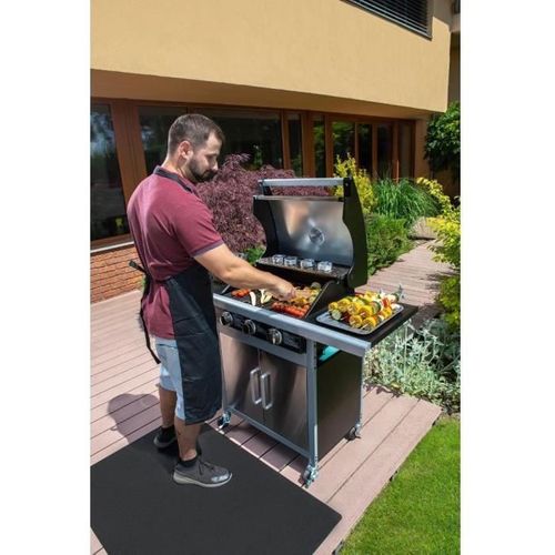 Barbecue gaz Gril - Fzg 3005