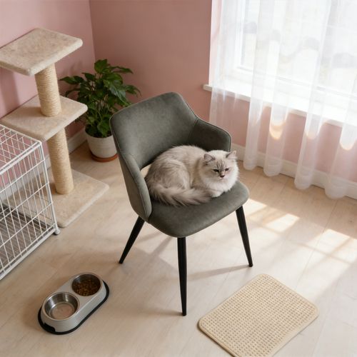 Lot De 6 Chaises De Salle à Manger Rembourrée En Tissu Adapté Aux Animaux De Compagnie, Vert