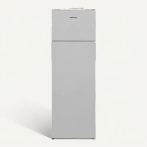 Réfrigérateur 2 portes DAEWOO CTL0283DSMA0-EU 243L Silver vue de face