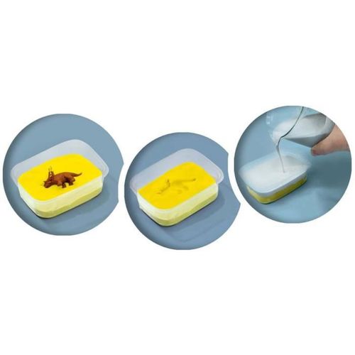Jeu Scientifique Fossiles De Dinosaures - Fouille, Moulage Et Peinture (5-12 Ans)