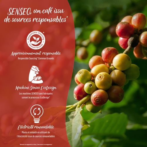 Dosette de café SENSEO CAPPUCCINO x16