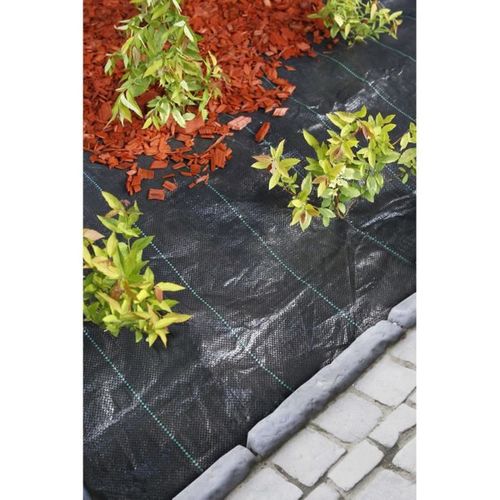 Bâche Anti-mauvaises Herbes Tissée 100 G/m² 1 X 50 M Noire