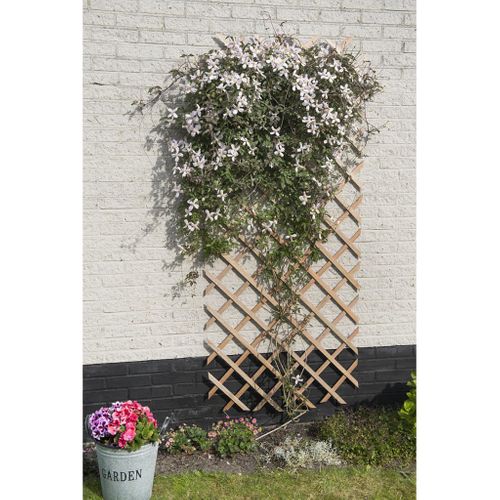 Palissade De Jardin Réglable 50 X 150 Cm Bois Naturel Bordure Clôture Terrasse Patio