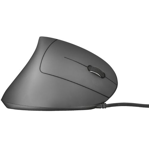 Souris ergonomique - 22885