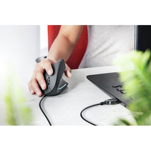 Souris ergonomique - 22885