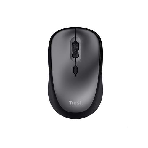 Souris Trust 24549
