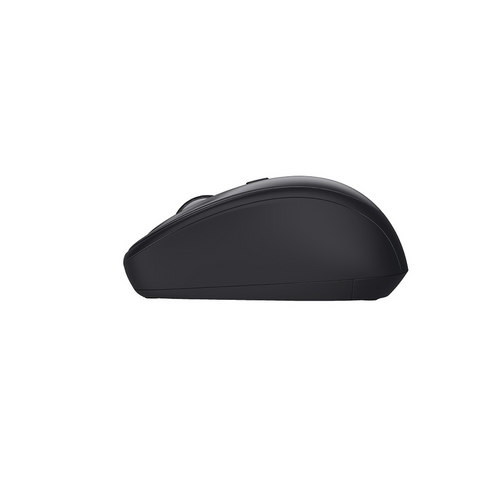 Souris Trust 24549