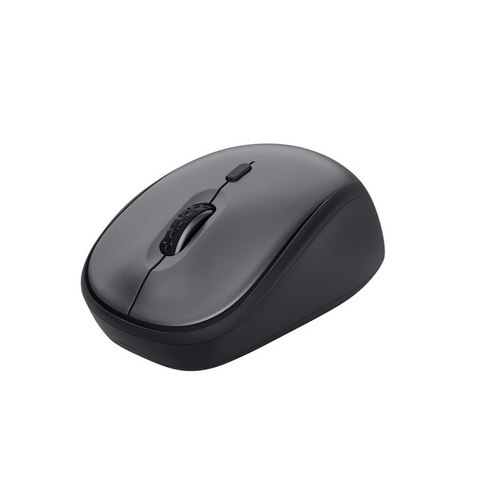 Souris Trust 24549