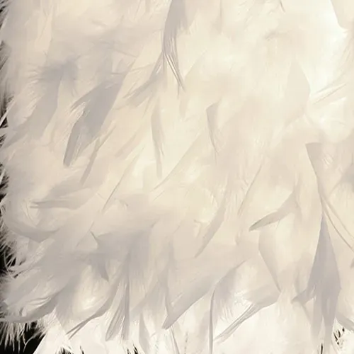 Lustre Suspension En Plumes 30cm Luminaire Abat-jour Plafonnier Pour Chambre Salon Salle Blanc