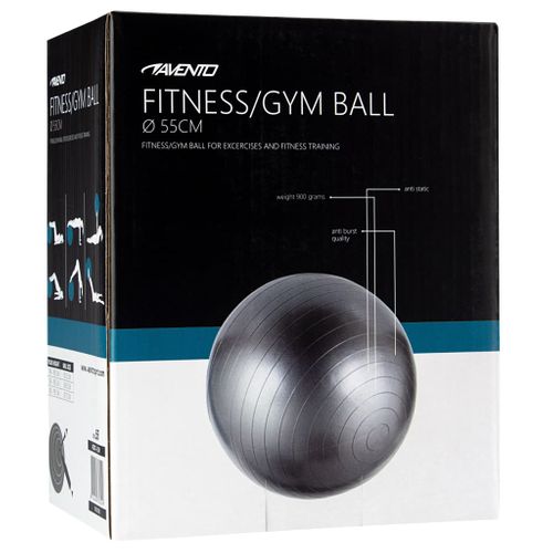 Swiss Ball S 55 Cm Gris