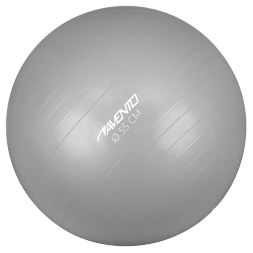 Swiss Ball S 55 Cm Gris