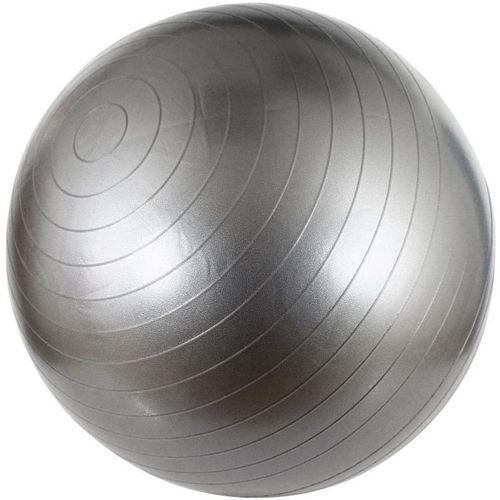Swiss Ball S 55 Cm Gris