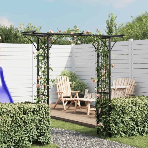 Vidaxl Arche De Jardin 200x52x204 Cm Arceau à Rosiers Plantes Grimpantes Décoration Terrasse Patio