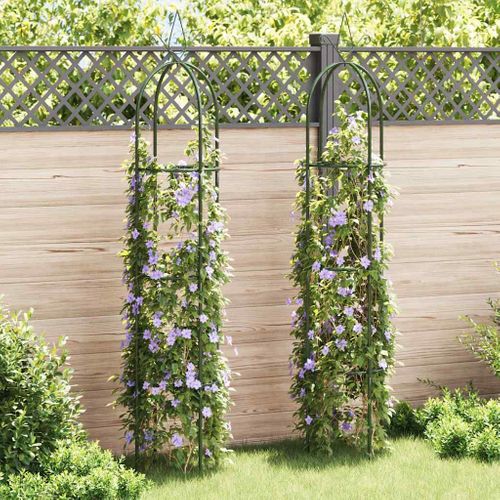 Arche De Jardin 2 Pièces En Forme De Tour Arceau Plantes Grimpantes Terrasse Patio Extérieur