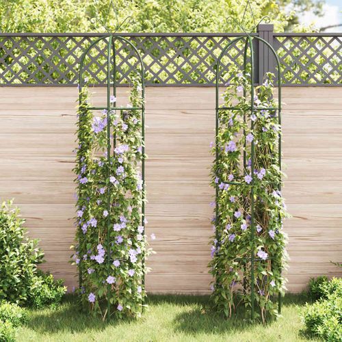 Arche De Jardin 2 Pièces En Forme De Tour Arceau Plantes Grimpantes Terrasse Patio Extérieur