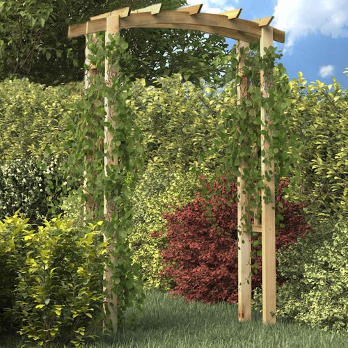Voûte En Treillis 150x60x210 Cm Bois Arceau à Rosier Plante Grimpante Jardin Terrasse